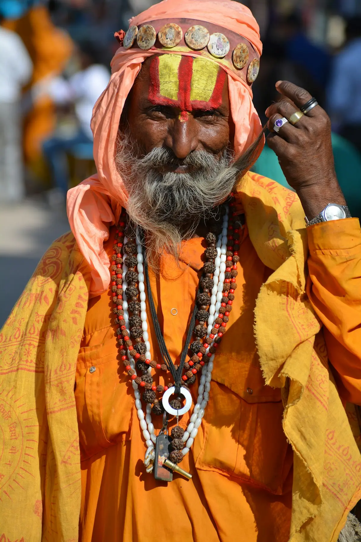 भव्य मिरवणुकीत नागा साधू